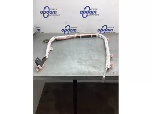 Airbag hemel links-8035501 (21403721)