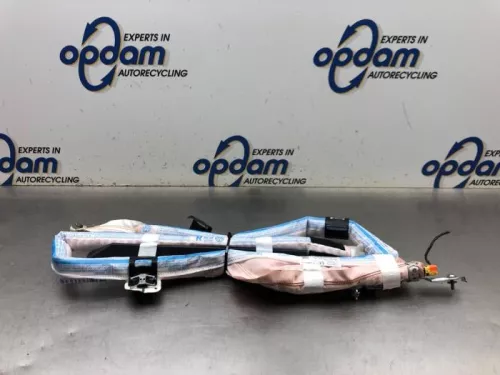 Airbag hemel rechts-8158117 (20437046)