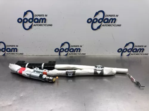 Airbag hemel rechts-8091819
