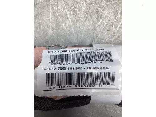 Airbag hemel rechts-7942545 (18837699)