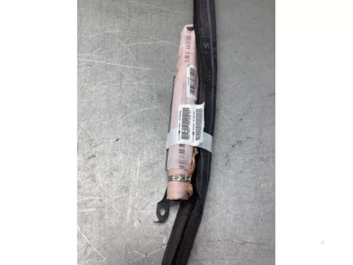 Airbag hemel rechts-7929448 (21078980)