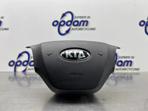 Airbag links (Stuur)-8298840 (22337495)