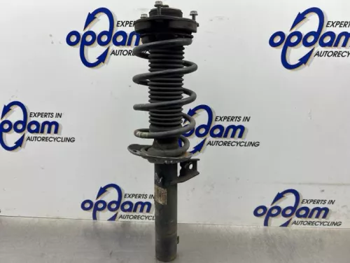 Schokdemperpoot rechts-voor-8208536