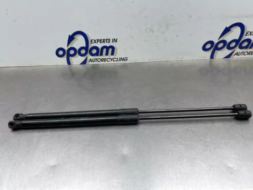 Set Gasdempers Achterklep-8358091