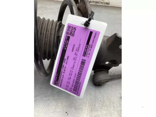 Schokdemperpoot links-voor-8252685