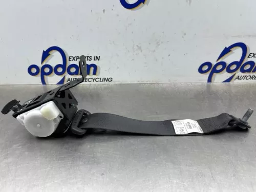 Veiligheidsgordel links-achter-8293334