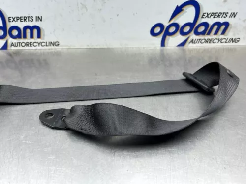 Veiligheidsgordel midden-achter-8293334