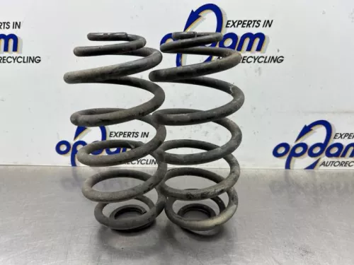 Schroefveer achter-8293334