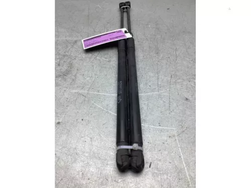 Set Gasdempers Achterklep-8164298