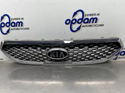 Grille-8260866