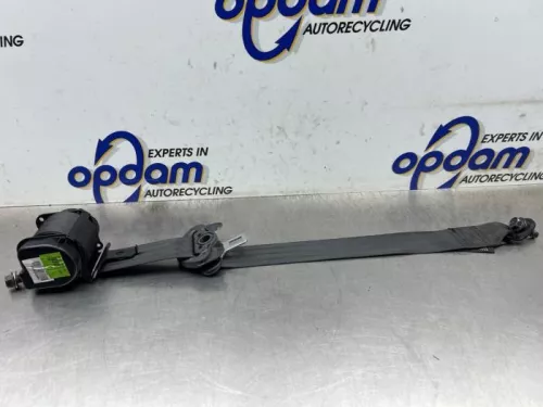 Veiligheidsgordel links-achter-8260866