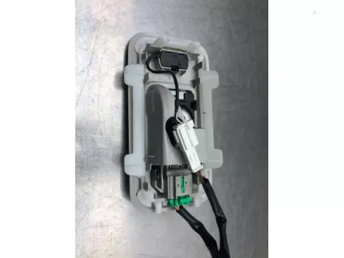 Binnenverlichting voor-8064679 (19044905)