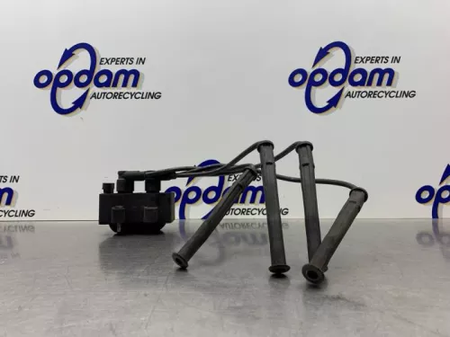 Bobine-8278910 (21911021)