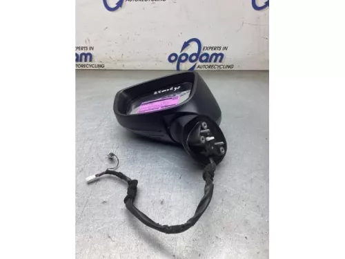 Buitenspiegel links-8312466