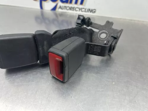 Veiligheidsgordel Insteek links-achter-8231804