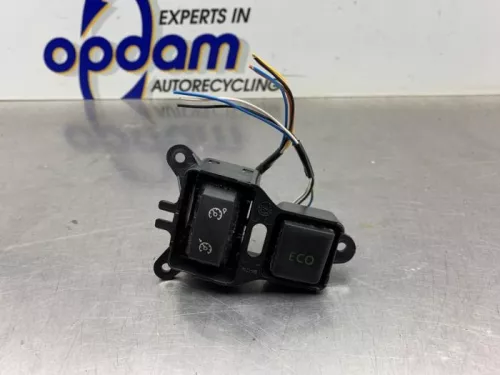 Cruise Control Bediening-8304828