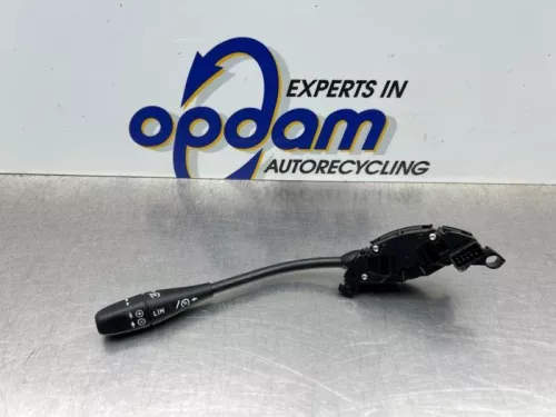 Cruise Control Bediening-8374963