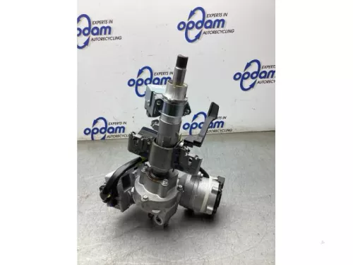 Stuurkolom Huis-8195246