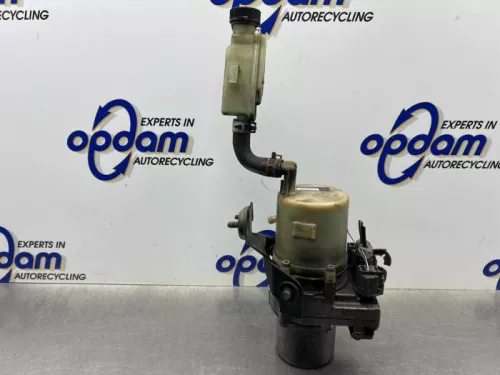 Stuurbekrachtiging Pomp-8394701