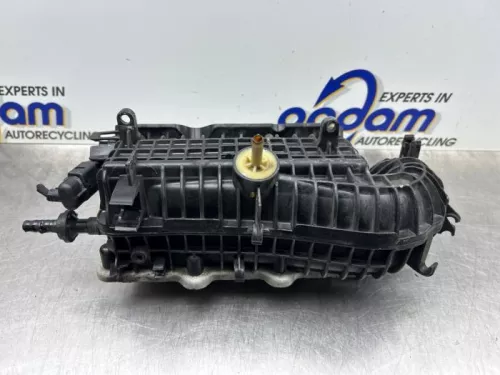 Inlaatspruitstuk-8377181