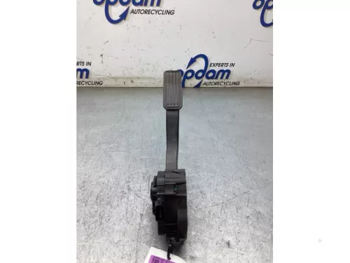 Gaspedaalpositie Sensor-8209892