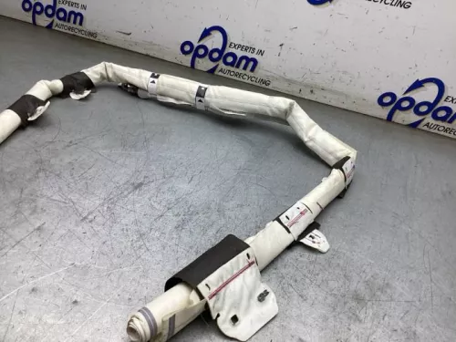 Airbag hemel links-8269067