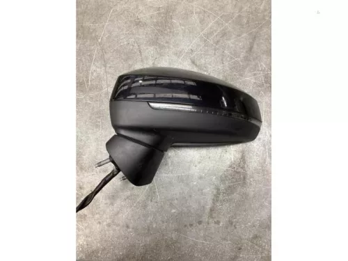 Buitenspiegel links-8240960