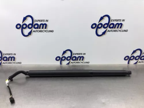 Gasdemper rechts-achter-