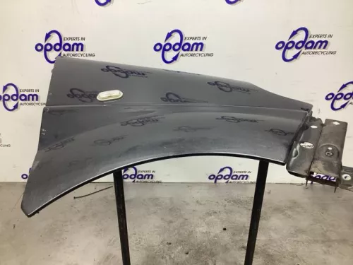 Scherm rechts-voor-8432621