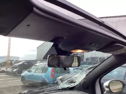 Binnenverlichting voor-8362497