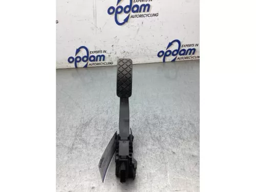 Gaspedaalpositie Sensor-8270111