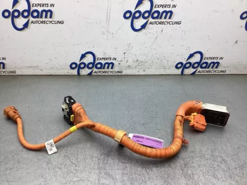 HV kabel (hoog voltage)-8274922