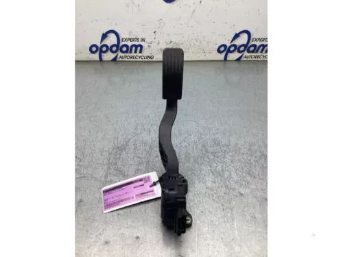 Gaspedaalpositie Sensor-8274393