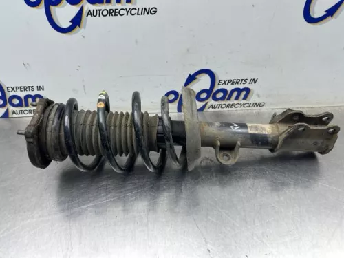 Schokdemperpoot rechts-voor-8439647