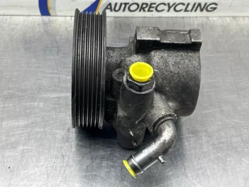 Stuurbekrachtiging Pomp-8439647