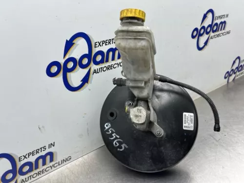 Rembekrachtiger-8439647