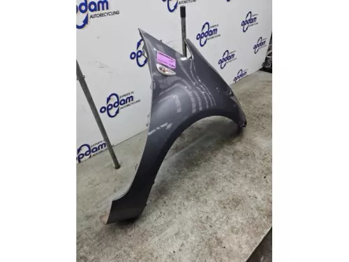 Scherm rechts-voor-8381925