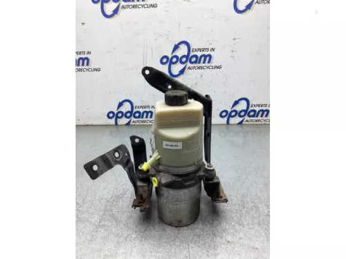 Stuurbekrachtiging Pomp-8288255