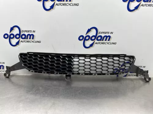 Bumper Rooster-8447668