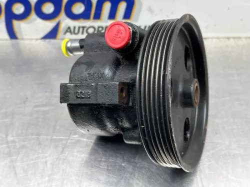 Stuurbekrachtiging Pomp-8232256