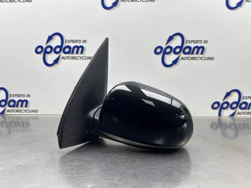 Buitenspiegel links-8449451