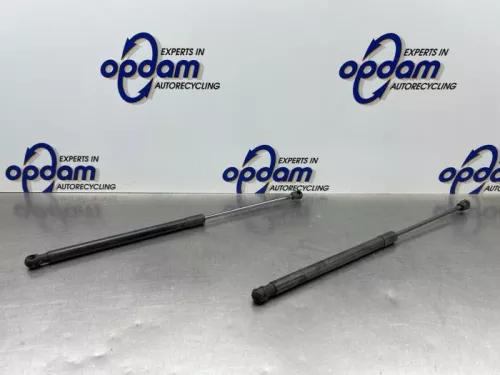 Set Gasdempers Achterklep-8238819