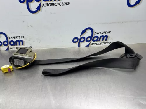 Veiligheidsgordel links-voor-8175492