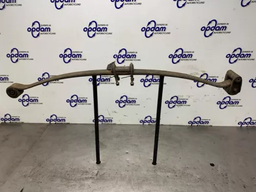 Bladveer achter-8439696