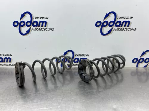 Schroefveer achter-8328512