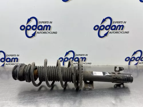Schokdemperpoot links-voor-8453350