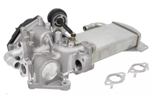 EGR Klep-