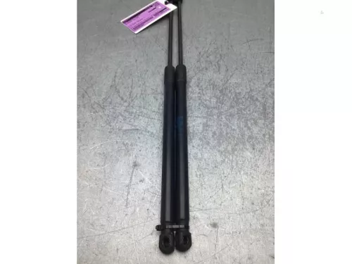 Set Gasdempers Achterklep-8391845