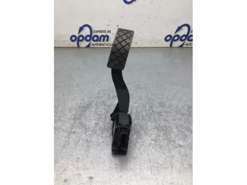 Gaspedaalpositie Sensor-8338489