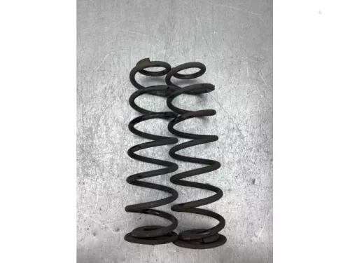 Schroefveer achter-8430816